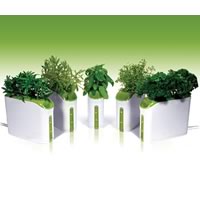 Power Plant Growing Machine