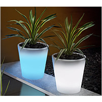 Solar Powered Plant Pot