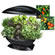 AeroGarden