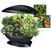 AeroGarden and Seeds