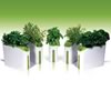 Power Plant Growing Machine
