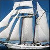 Tall Ship Sailing Day